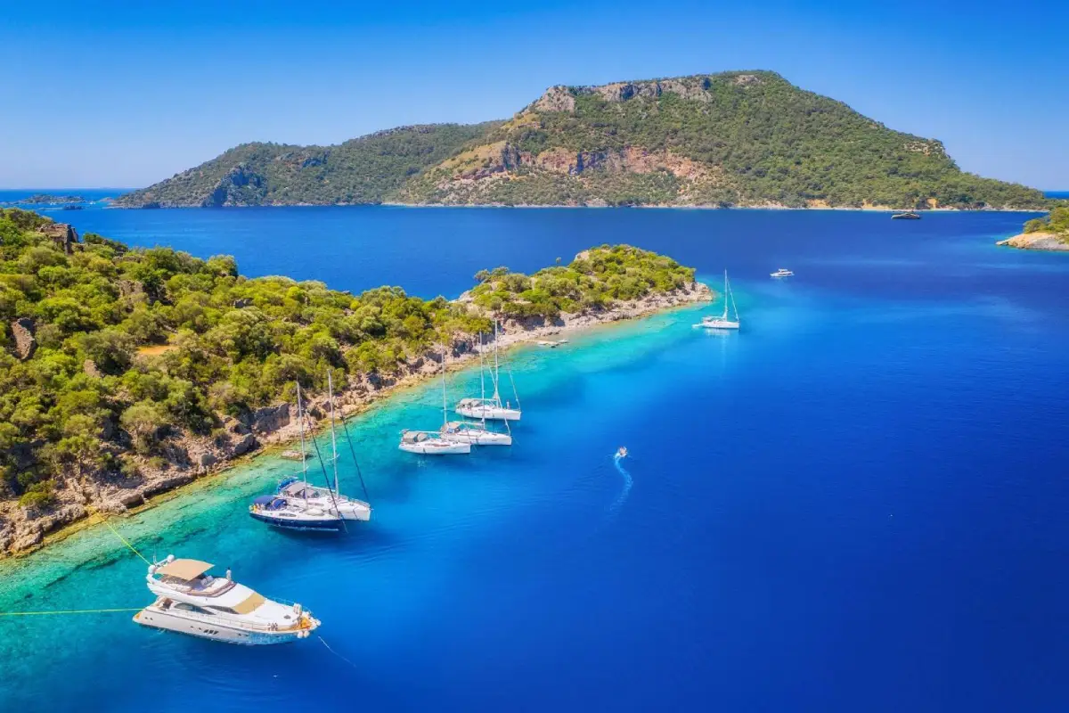 GOCEK Transfer