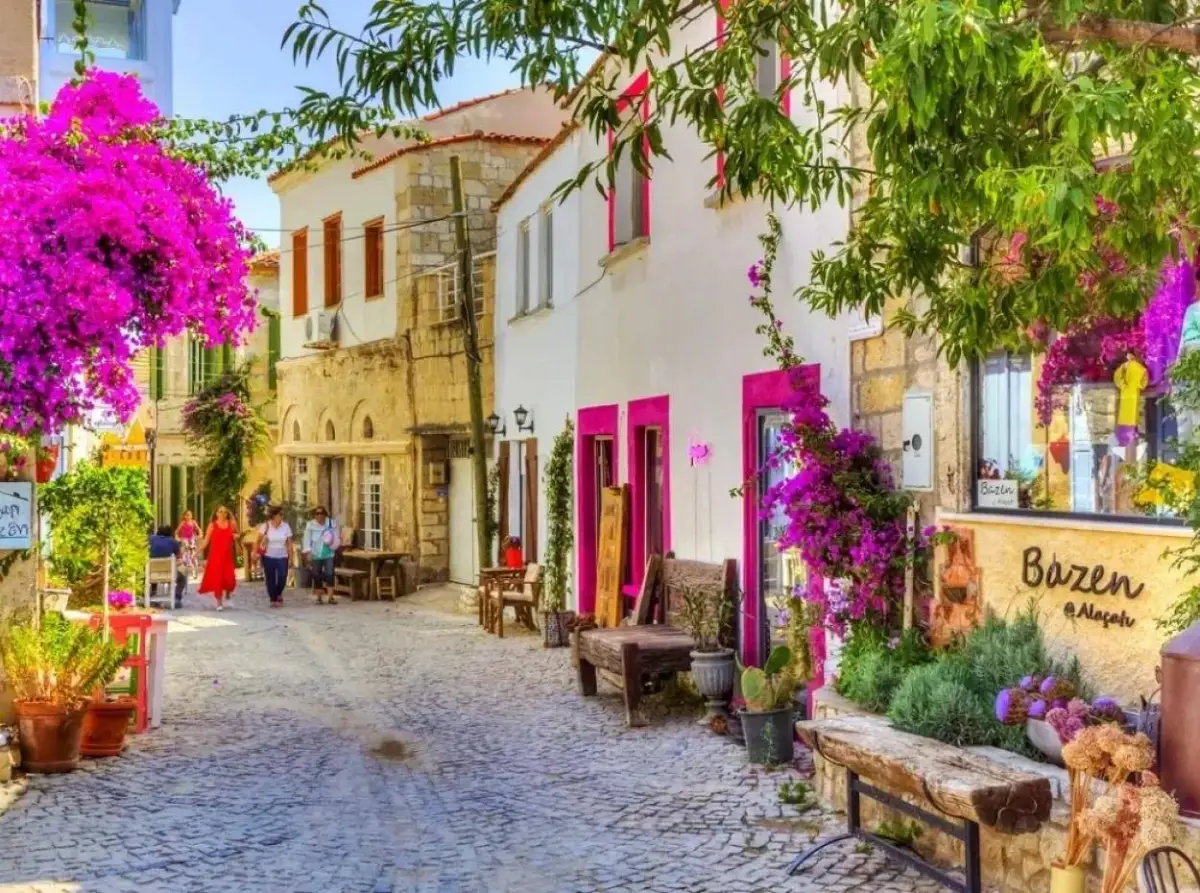 CESME Transfer